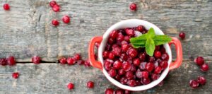 Eat A Cranberry Day