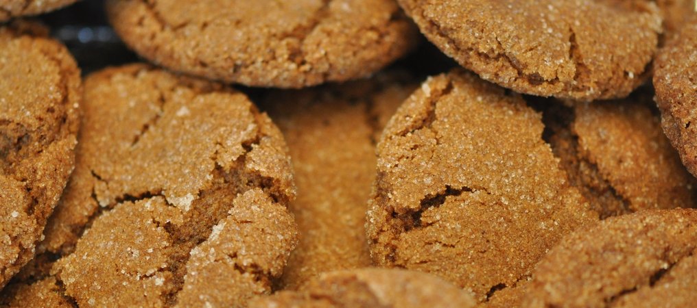 Gingersnap Day
