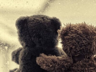 Hug A Bear Day