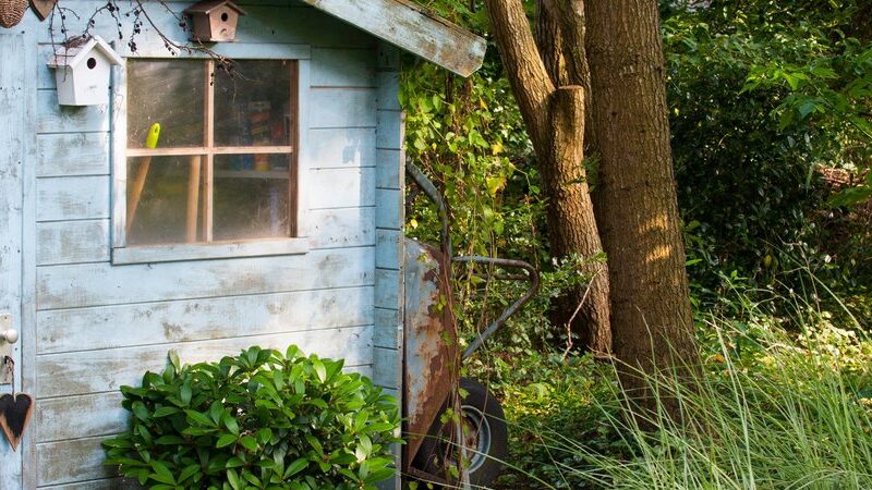 Hug A Shed And Take A Selfie