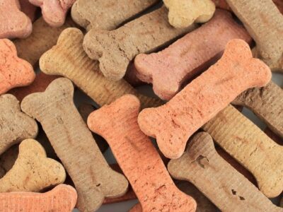 international dog biscuit appreciation day