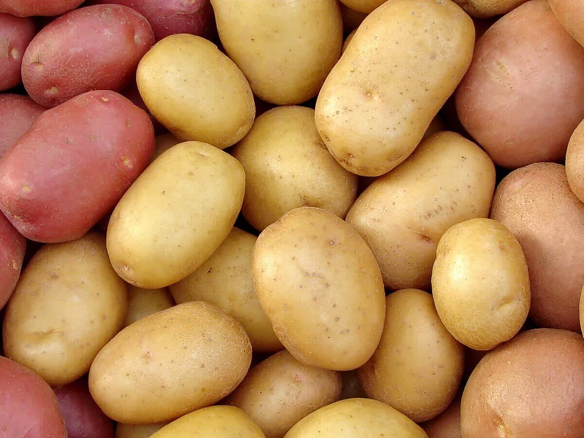 potato day