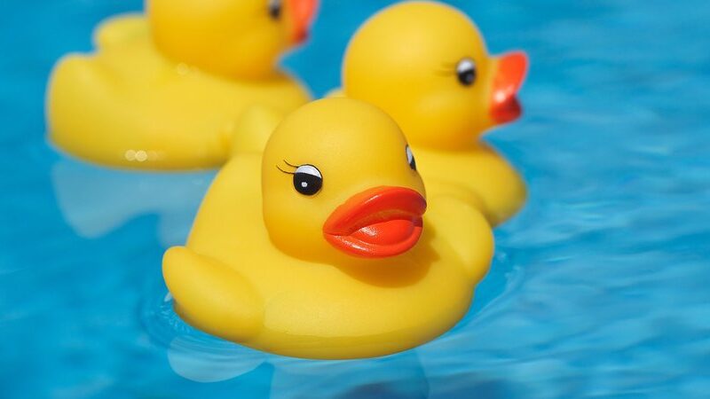 Rubber Duckie Day